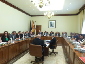 Imagen de la sesión plenaria del mes de abril en la DPT