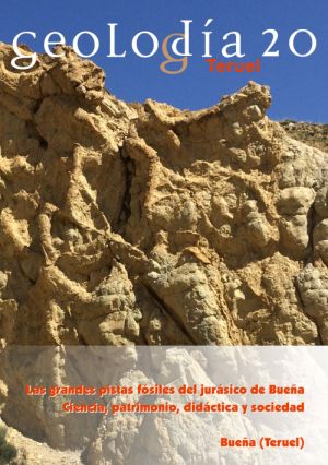El IET publica en su web la guía didáctica del Geolodía 2020, dedicada a la visita al yacimiento de Bueña