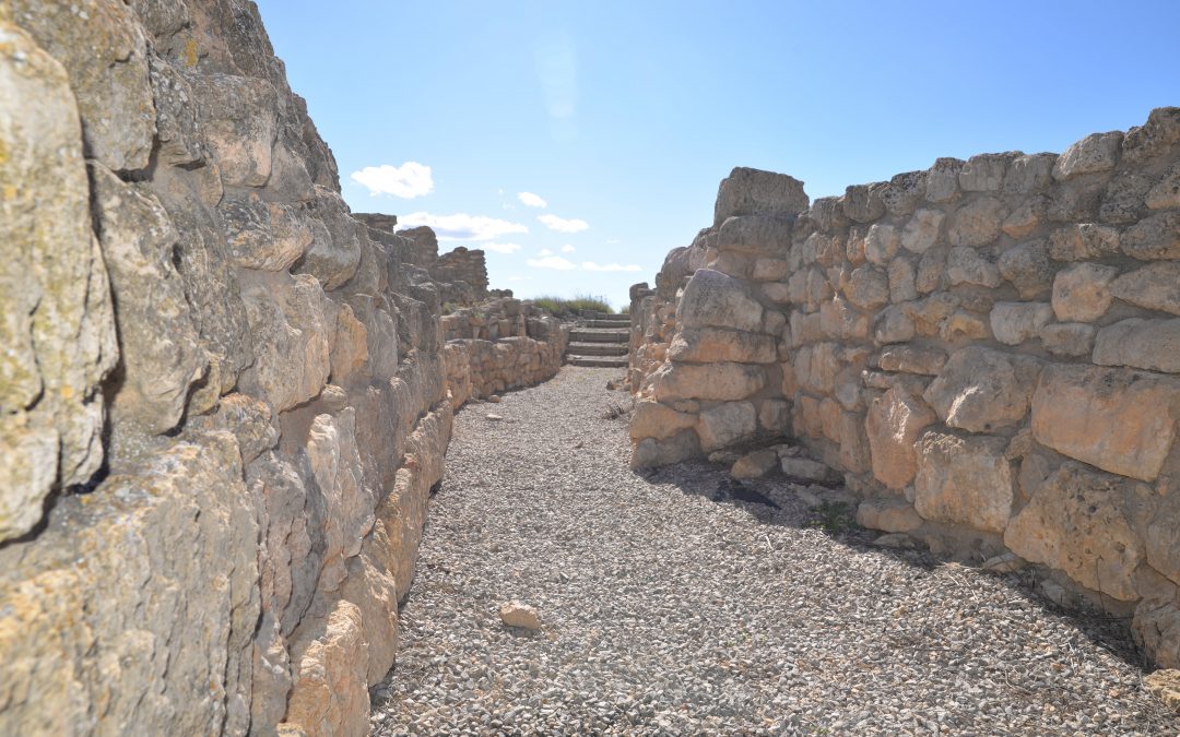 La DPT limpia yacimientos arqueológicos a través del Museo de Teruel, que comienza su campaña de excavaciones