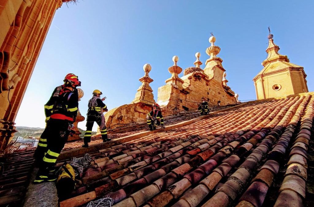 Los bomberos de la DPT retiran nidos con peligro de caída en la iglesia de Santa María de Alcañiz