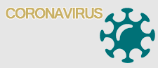 coronavirus CAJA GRIS