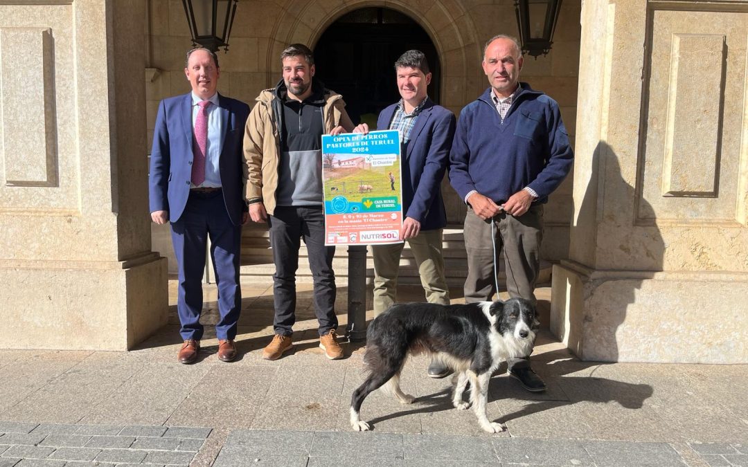 La Masía El Chantre de la DPT acoge el I Open de Perros Pastores de Teruel
